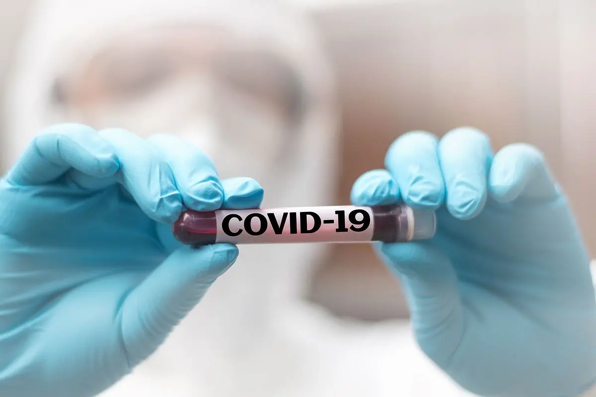 virus covid-19 lawan kanker