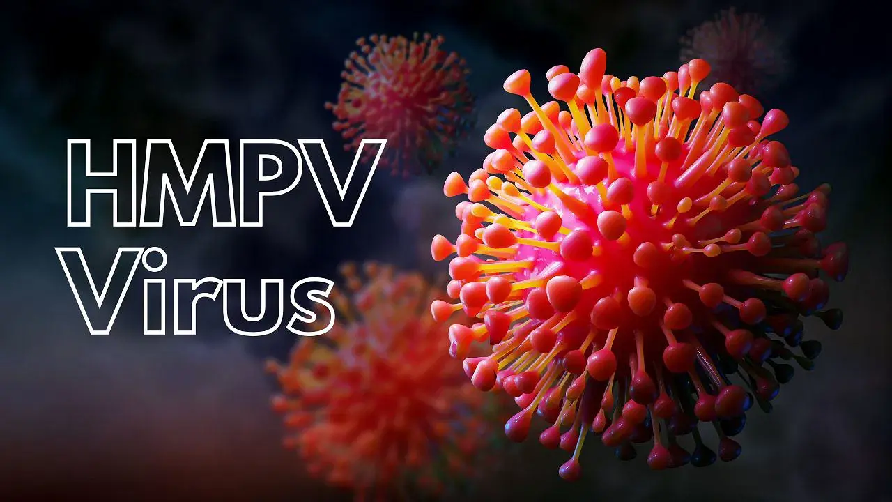 Persamaan Perbedaan Virus HMPV COVID-19