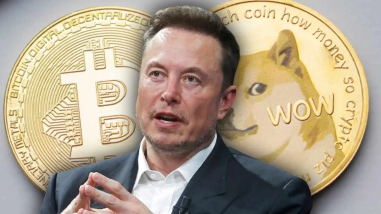 Elon Musk prediksi Bitcoin Doge