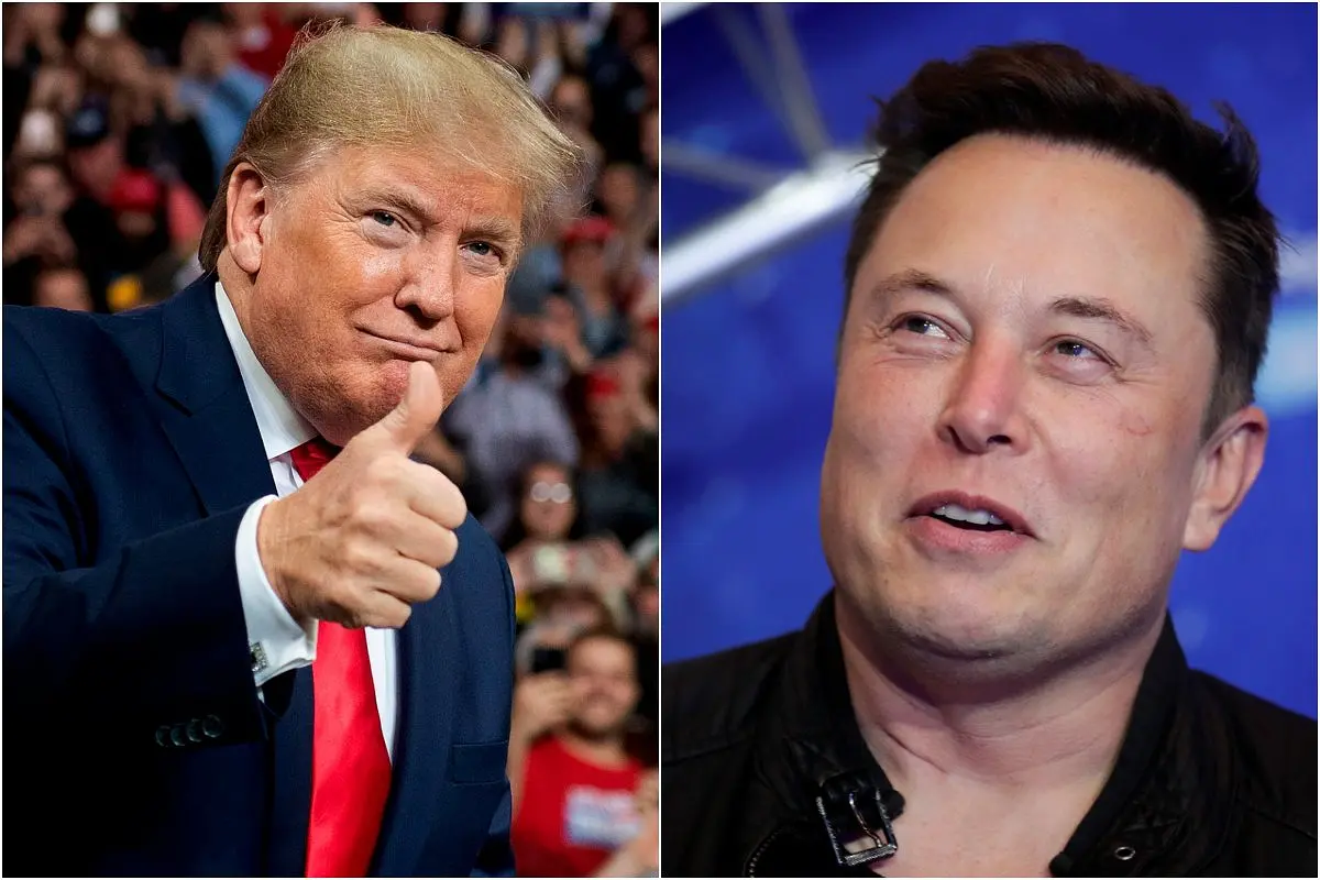 Donald Trump Elon Musk