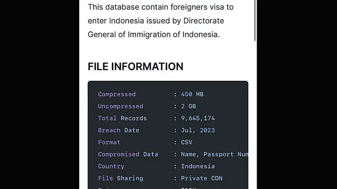 Kembali Berulah, Kini Bjorka Jual Informasi Jutaan Entri Data Visa WNA