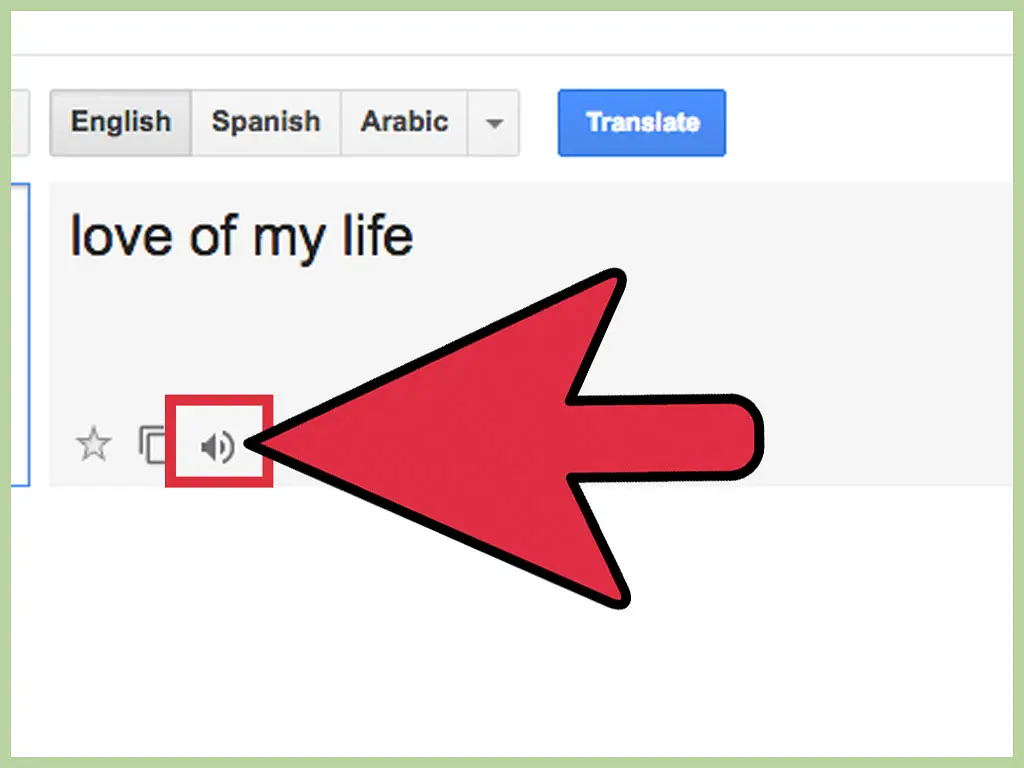 How to Get Google Translate to Speak: 6 Steps (with Pictures)