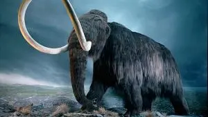 Ilmuwan Edinburgh Menemukan Rahasia Besar Dalam DNA Mammoth