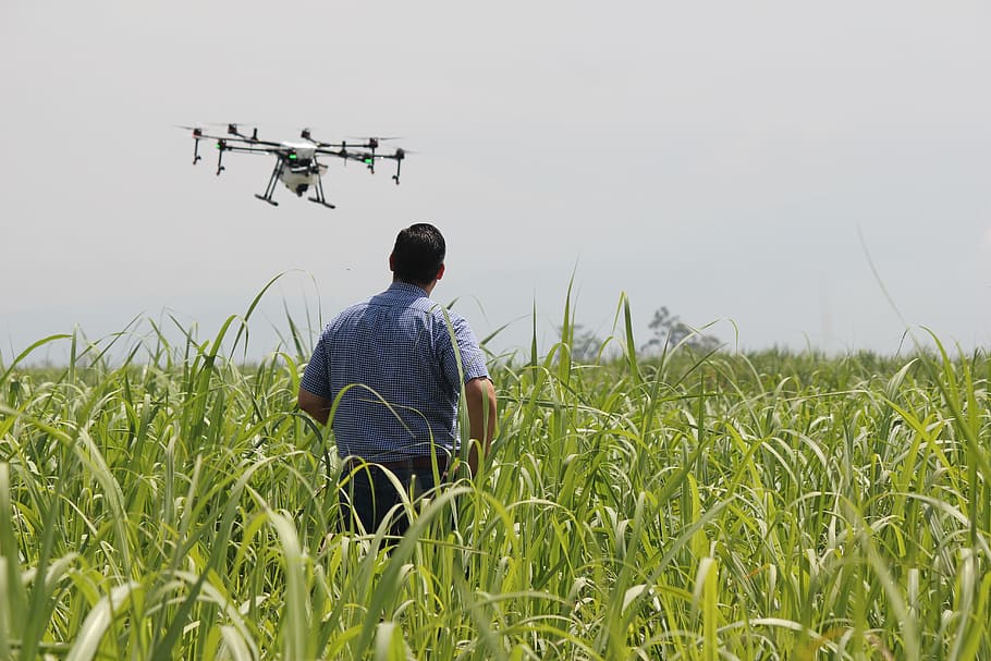 Pemerintah dorong milennial terjun ke pertaniang melalui teknologi smart farming