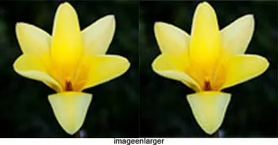imageenlarger 5 Tools Terbaik untuk Memperbesar Gambar Tanpa Pecah 5 imageenlarger