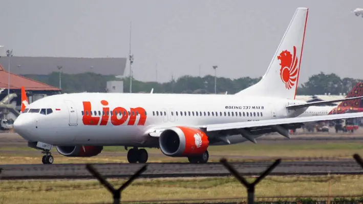 Penyebab Kecelakaan Lion Air JT610