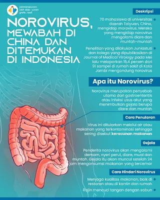 Mewabah di China, Nyatanya Juga Ditemukan di Indonesia, Apa Itu Norovirus?  | Jatim TIMES