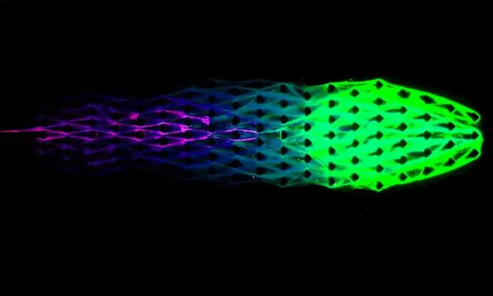 Ilmuwan AS Bikin Robot Berbasis DNA