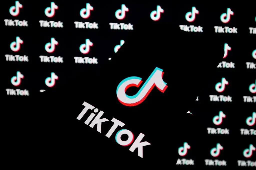 TikTok buat akun Twitter dan situs web baru.