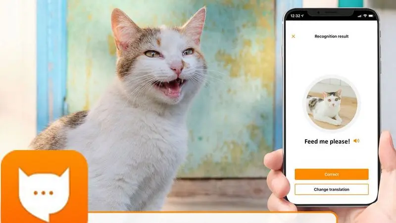 MeowTalk Alexa Aplikasi