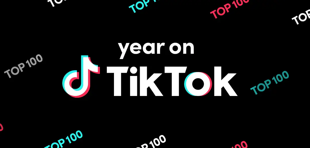 Video TikTok Viral 2020