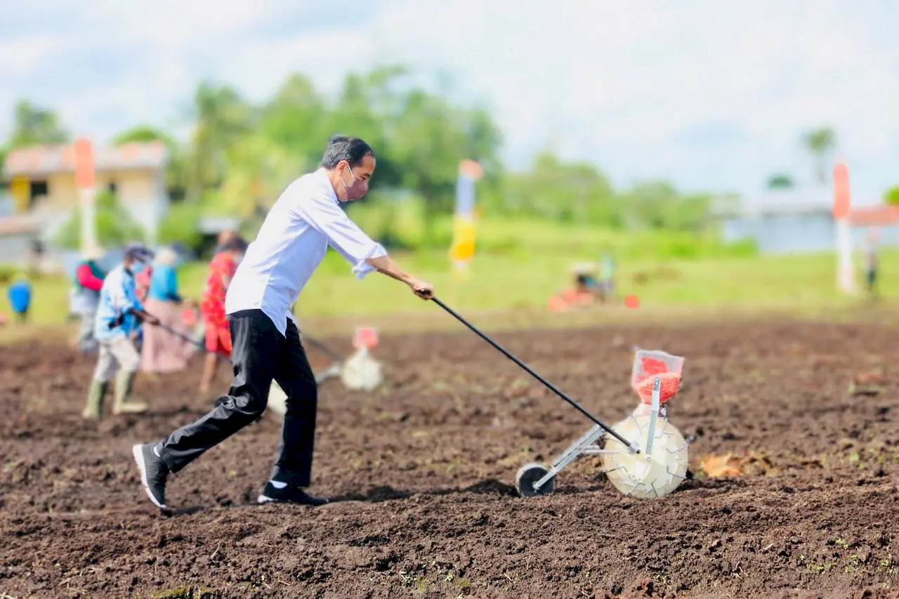 Jokowi Petani Milenial