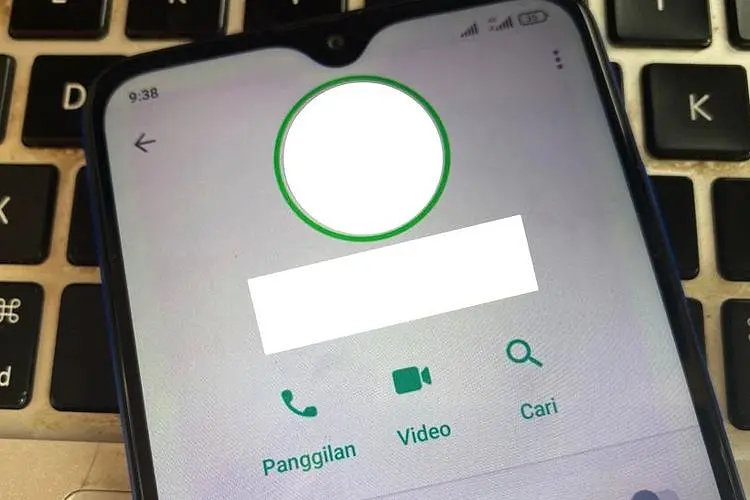 Lingkaran Hijau dan Biru di Foto Profil WhatsApp