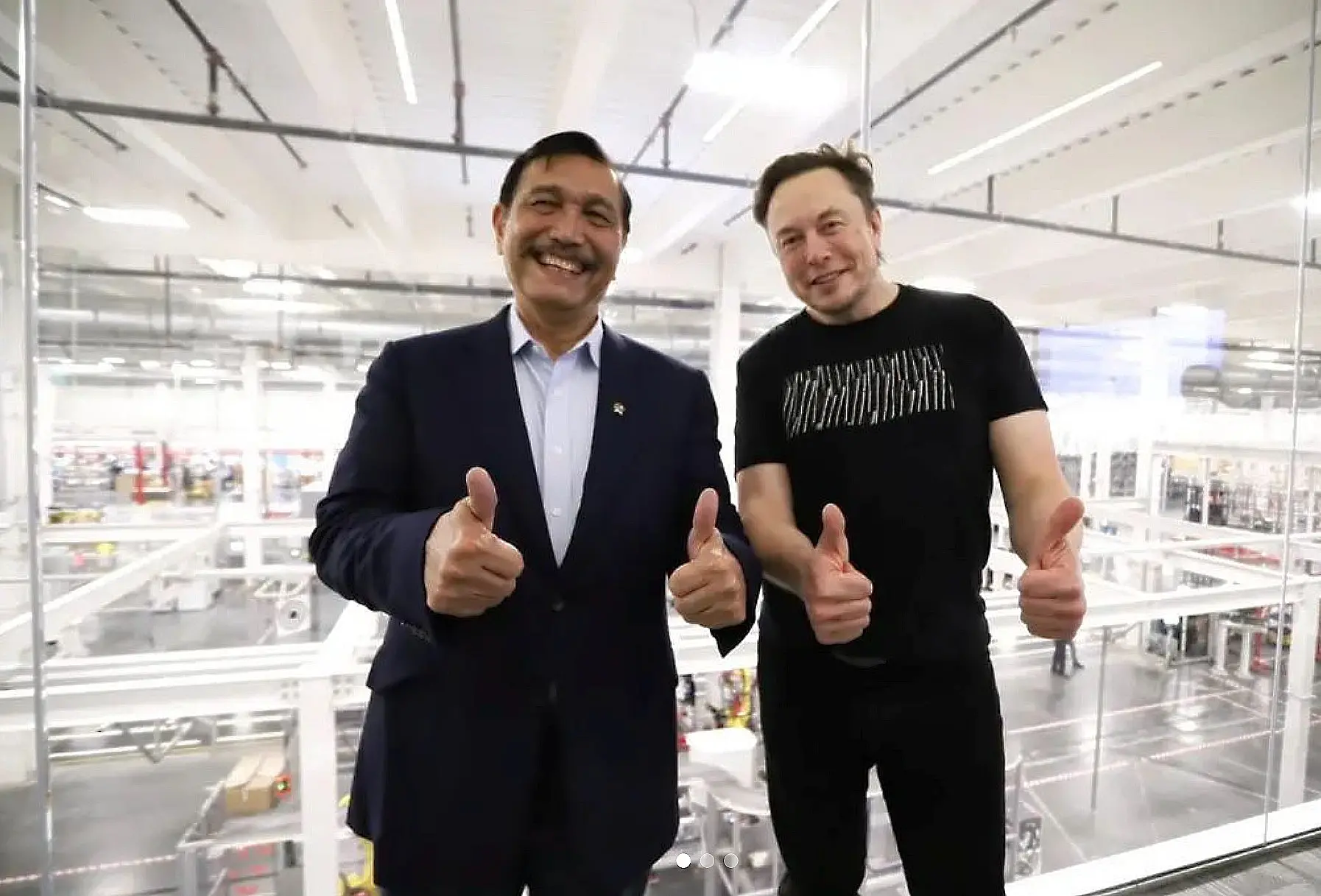 Luhut Elon Musk