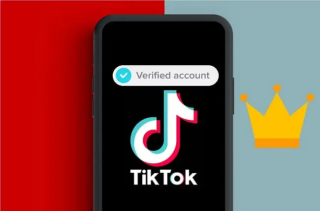 Centang Biru Tiktok