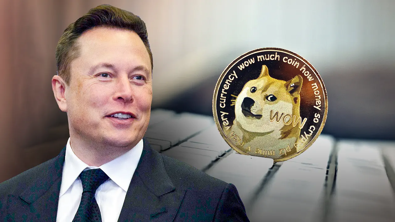 elon musk doge