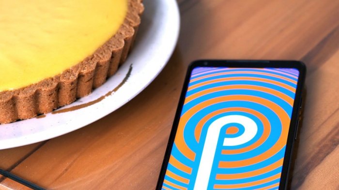 Daftar dan Jadwal Lengkap Pembaruan Android Pie untuk Ponsel Samsung