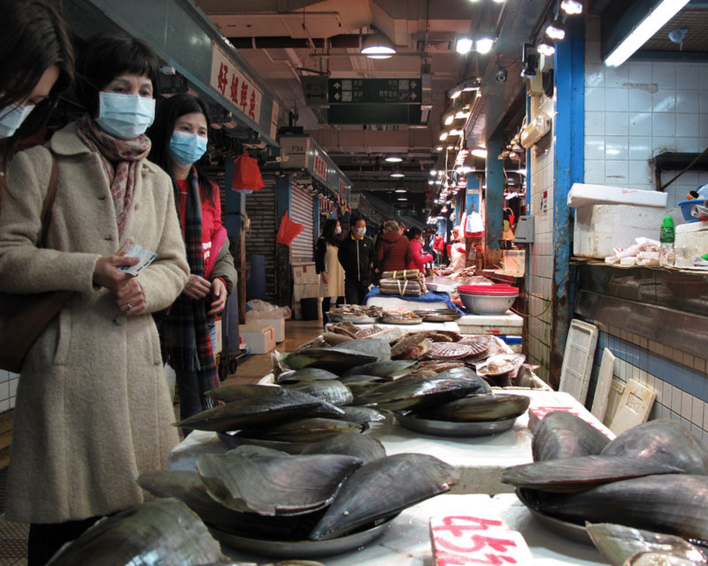 Pegawai Toko Seafood Wuhan Diduga Jadi Kasus Covid Pertama
