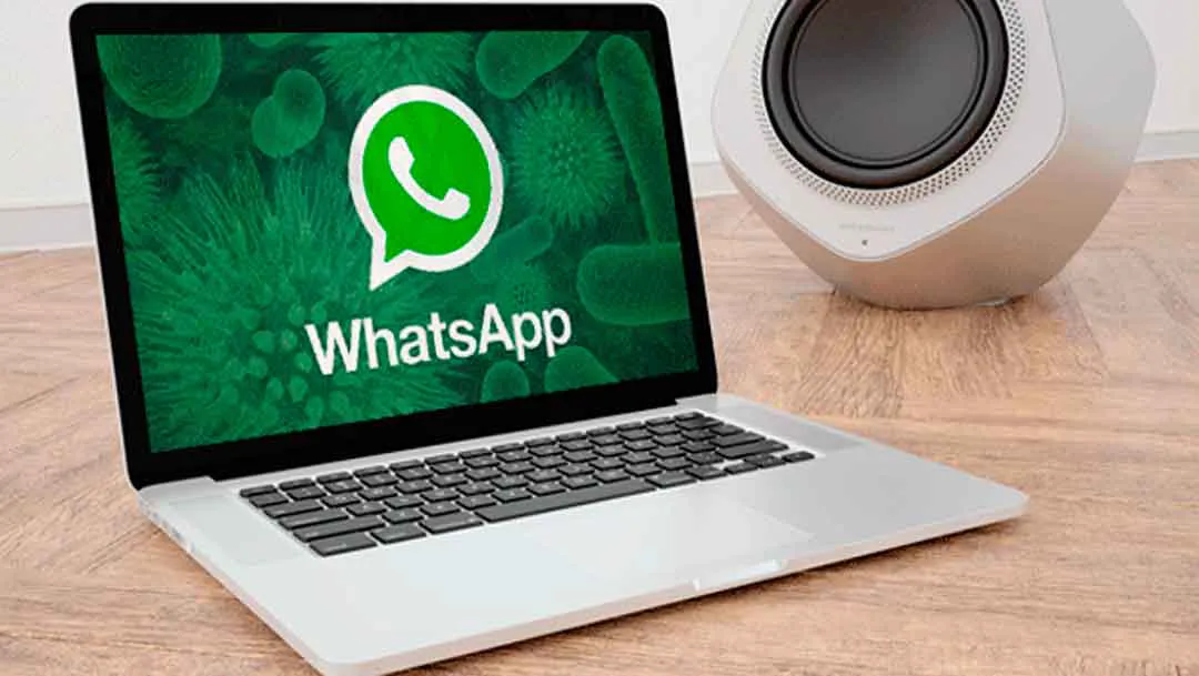 Ini Bedanya Whatsapp Web Dengan Whatsapp Desktop Teknologi 8091