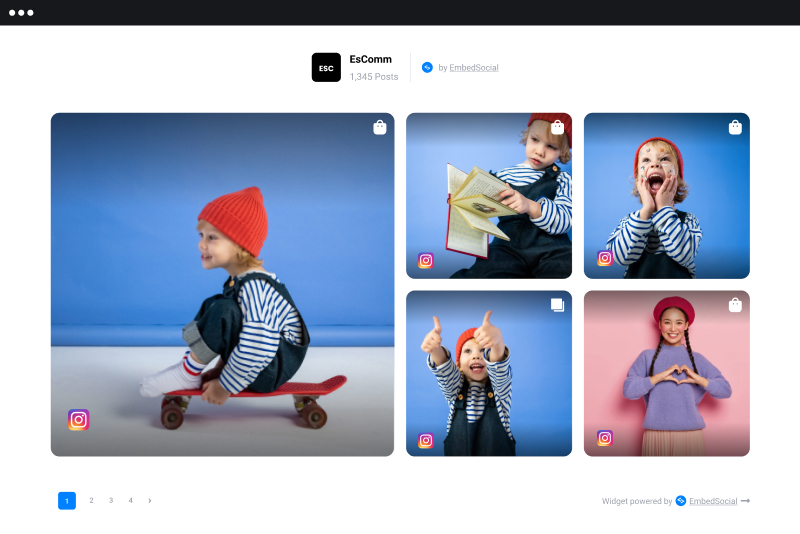 Instagram Profile Embed Website Bisnis