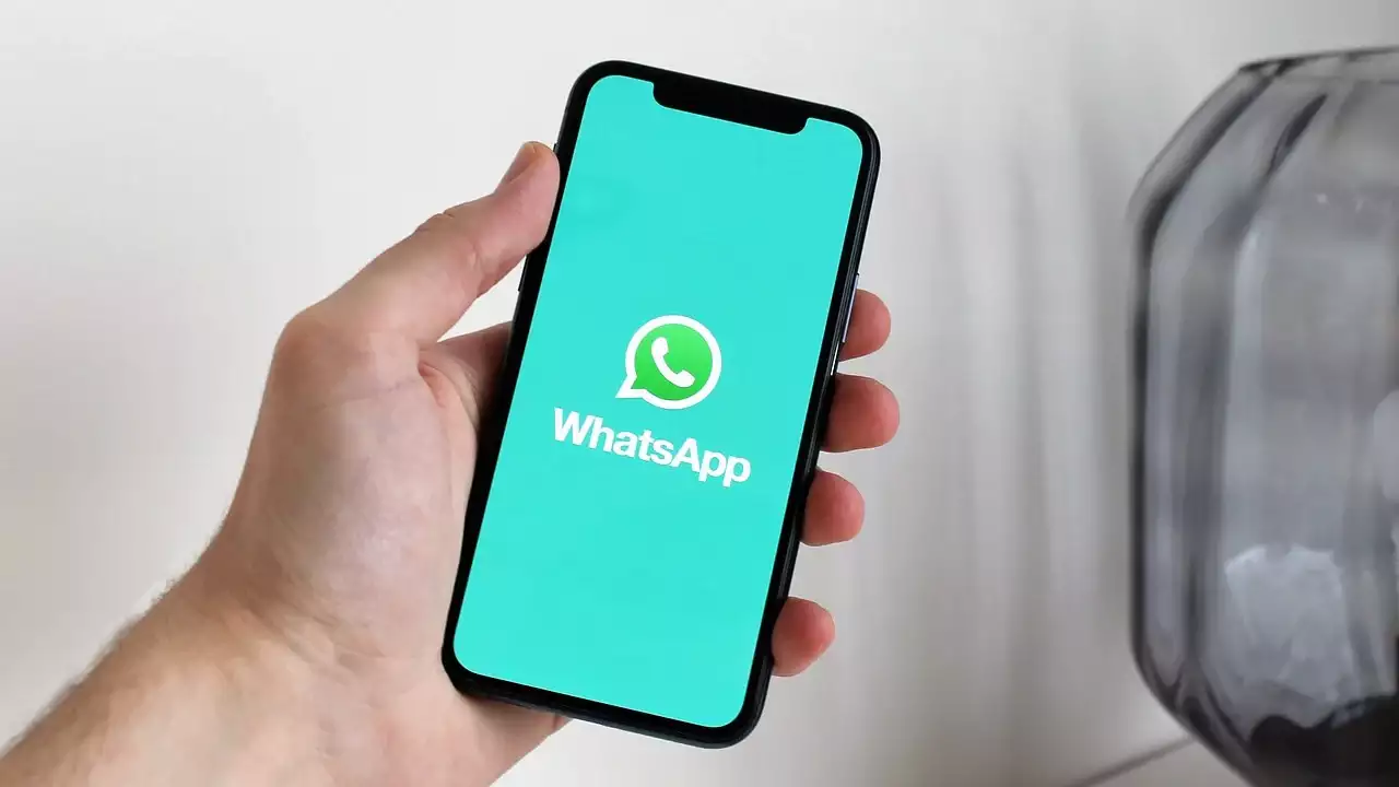 whatsapp username