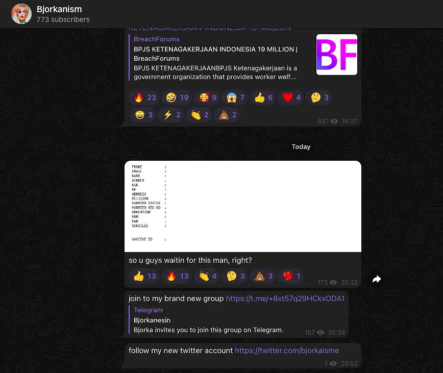 bjorka data pribadi rafael alun trisambodo