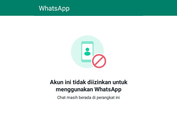 Muncul Notifikasi "Akun Ini Tidak Diizinkan Menggunakan WhatsApp"? Ini ...