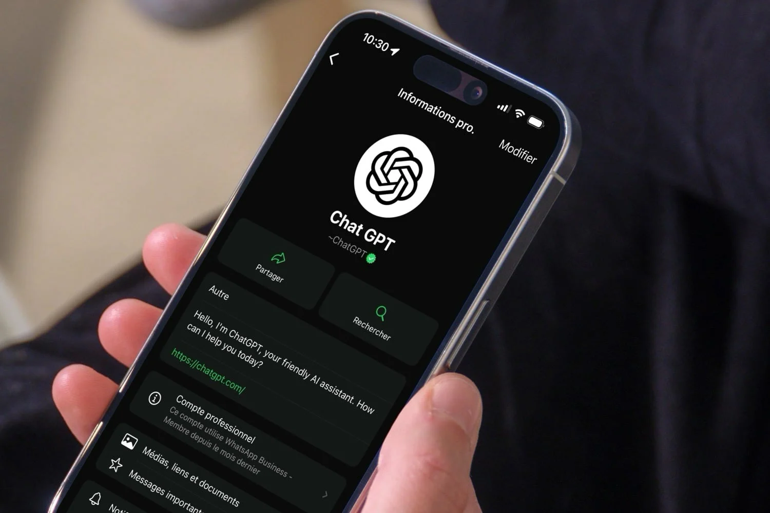 ChatGPT WhatsApp gambar pesan suara