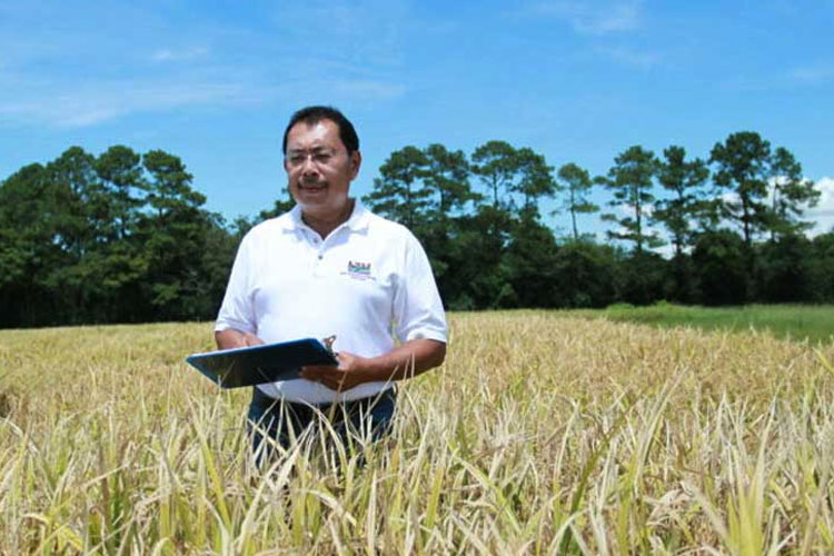 Prof. Herry S. Utomo, Beras Tinggi Protein, Alumni UB