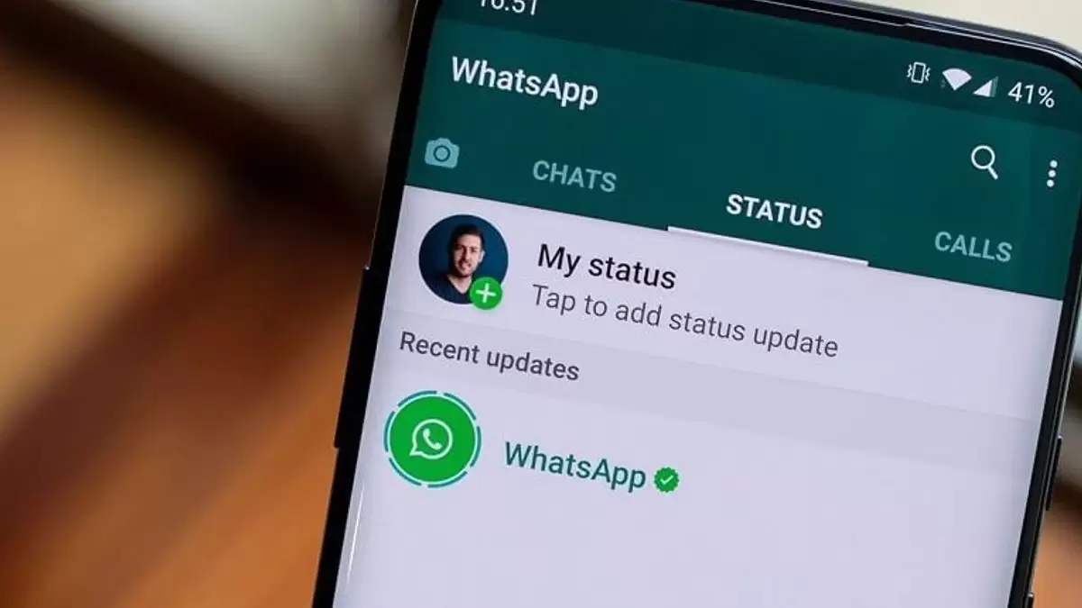 cara melihat status WhatsApp tanpa ketahuan