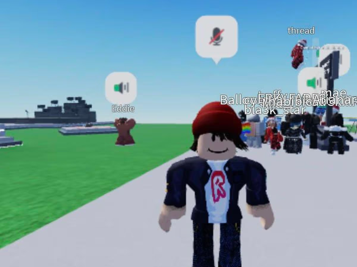 Voice chat Roblox