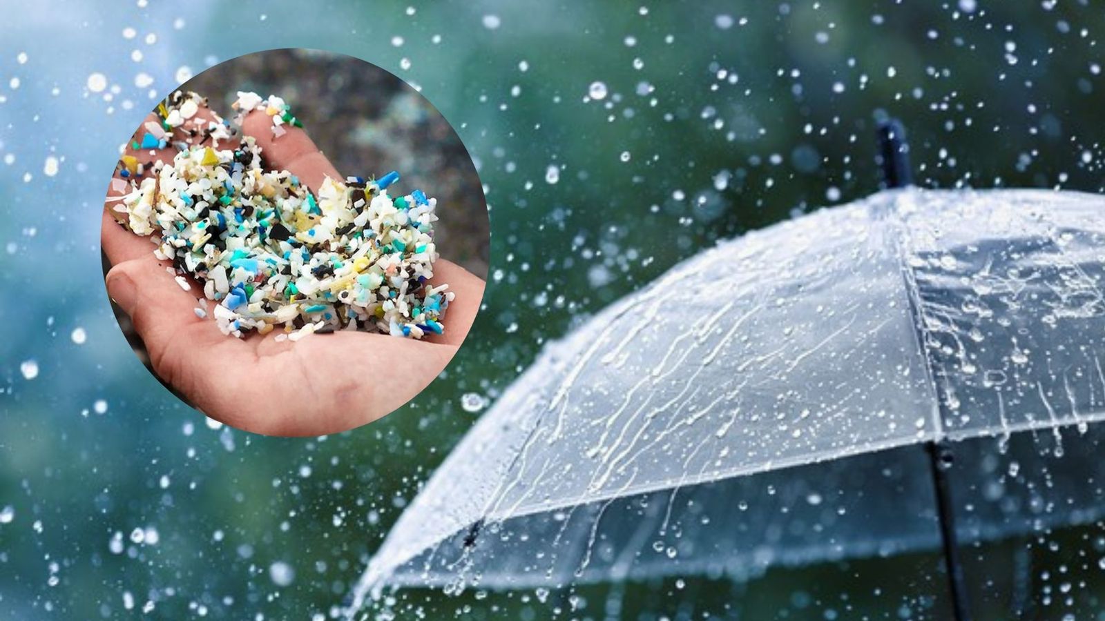 mikroplastik dalam air hujan