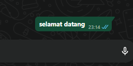 cara bikin tulisan unik di WhatsApp