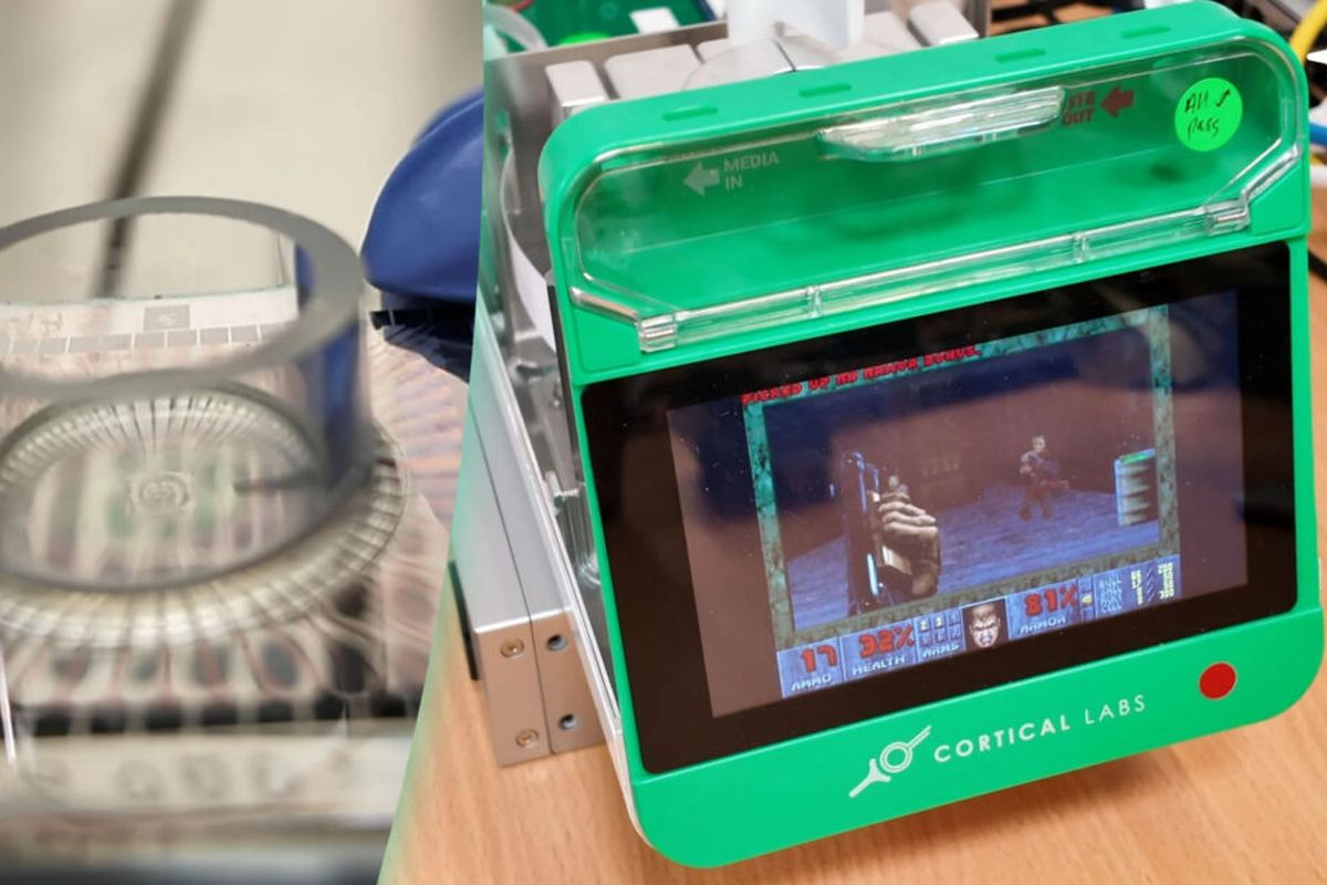 chip komputer sel otak, komputasi biologis CL1, Cortical Labs Doom, eksperimen DishBrain, teknologi komputasi masa depan, Sel otak manusia main Doom. 