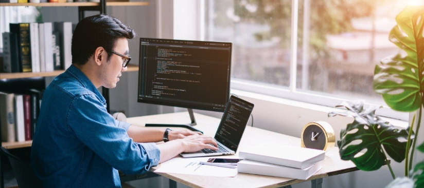 Sagara Endurance Model, Sagara Technology, IT Outsourcing, Beyond Technology Cycles