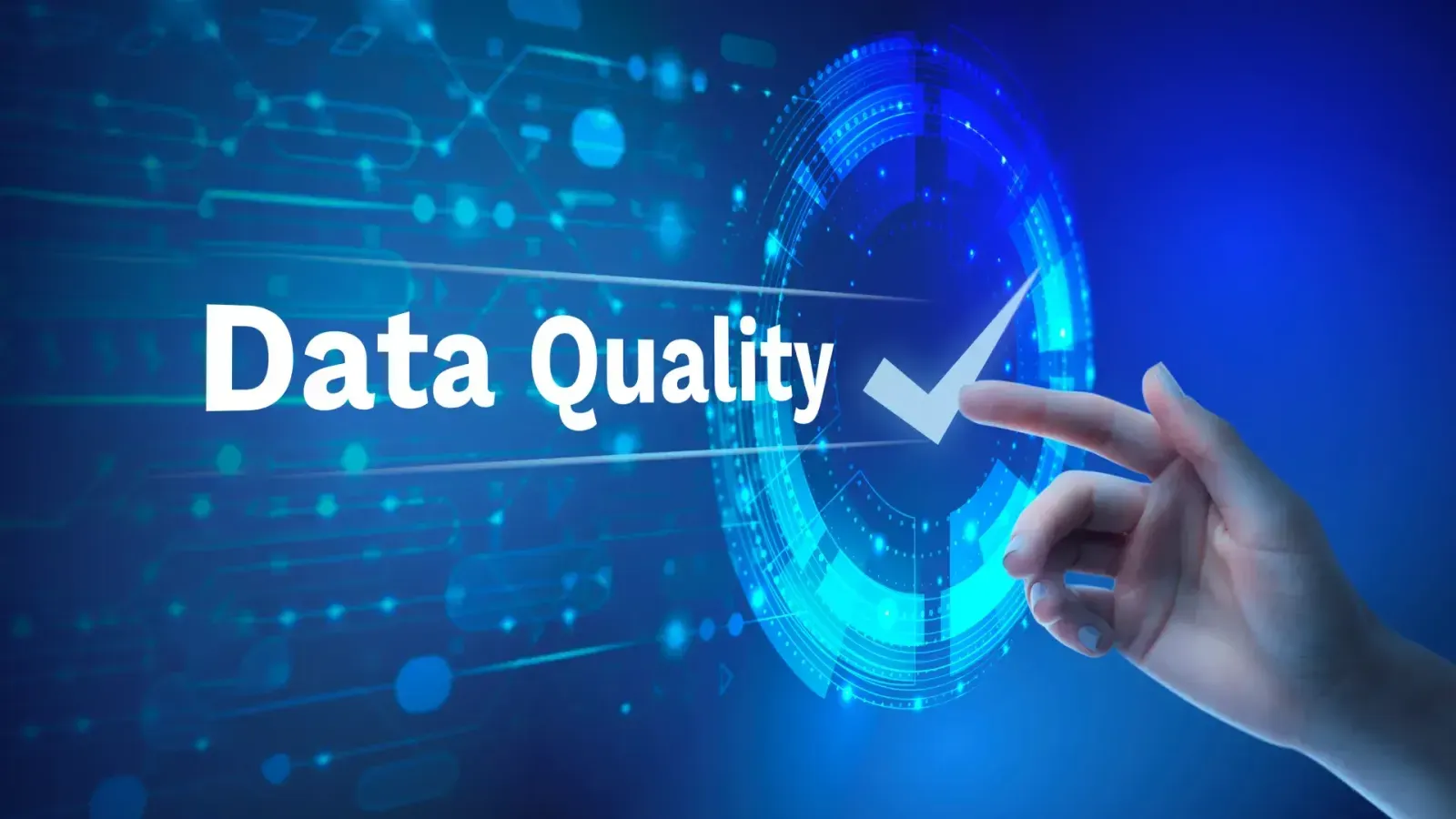 Data Quality, Sagara Technology, IT Outsourcing