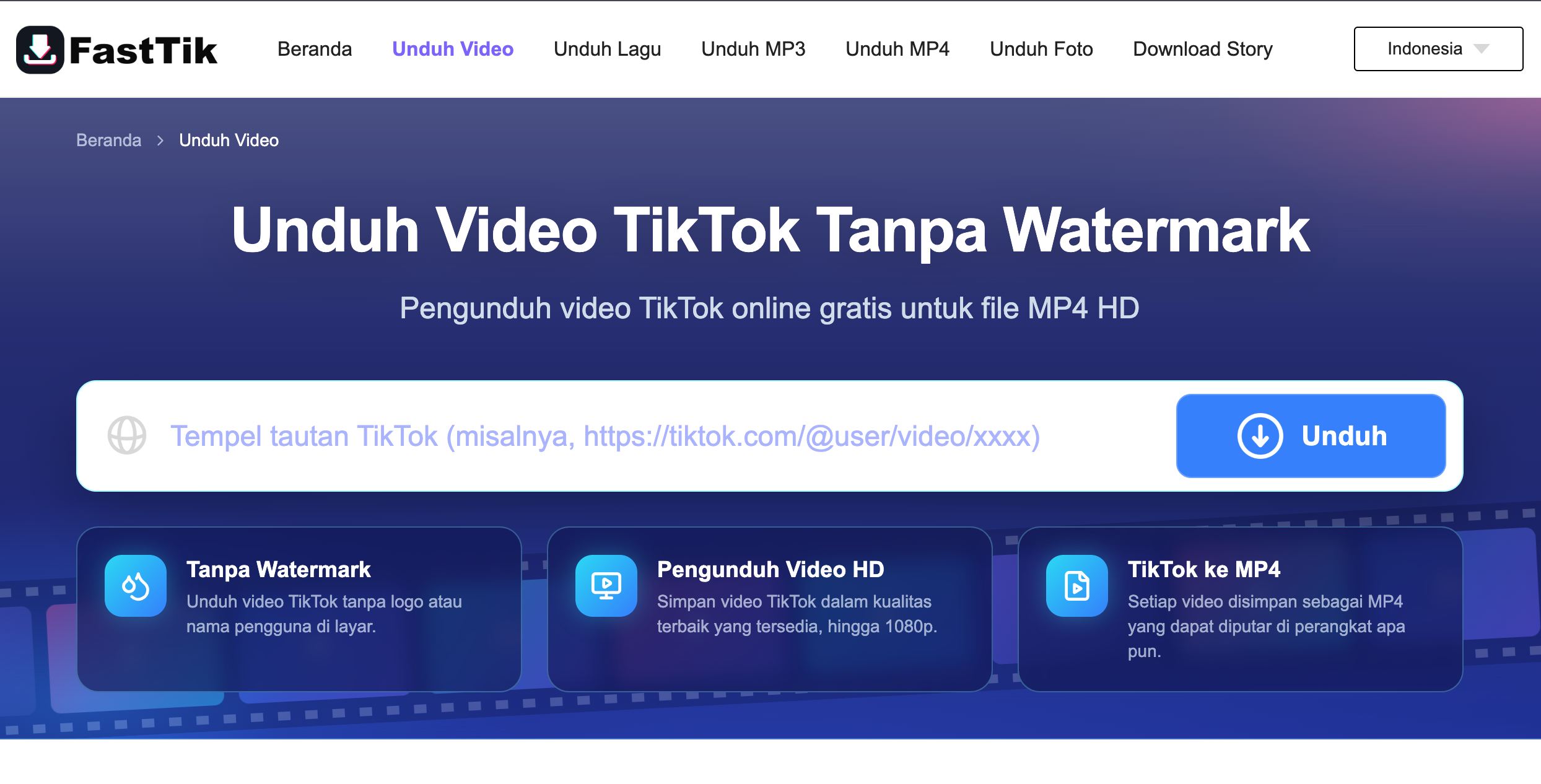 TikTok Downloader